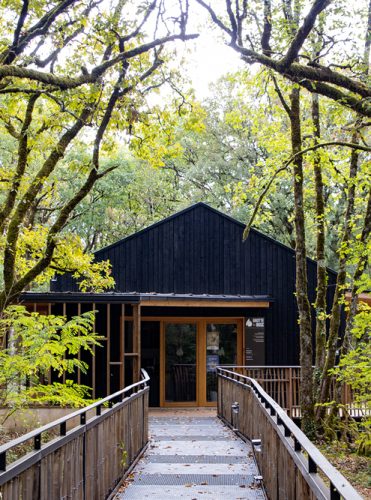 accueil-grotte-du-bosc